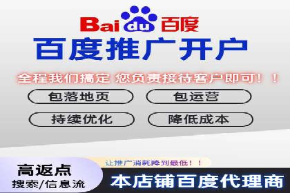 百度竞价推广公司经典案例研究：广告效果最大化策略